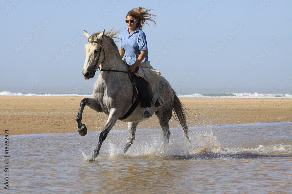 Galopp am Strand