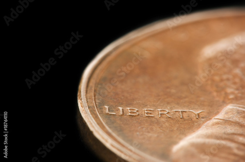 Macro of 