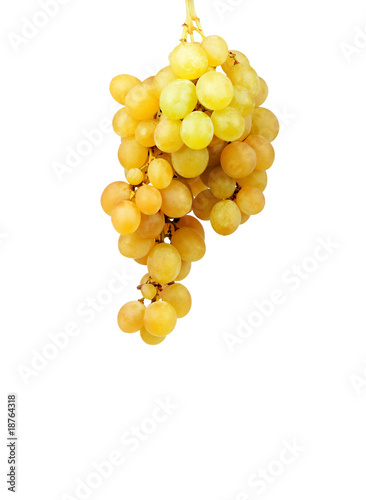 Bunch of fresh grapes