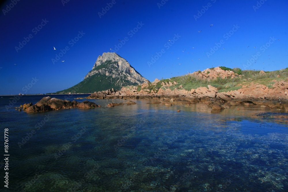 island Tavolara, Sardinia