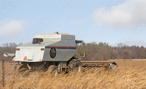Harvesting Soybeans
