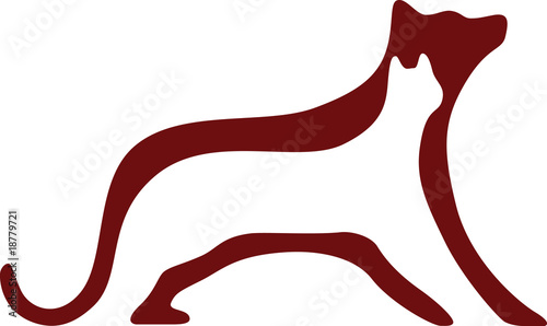cat and dog