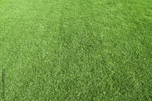 a background made of grass pattern, texture photo