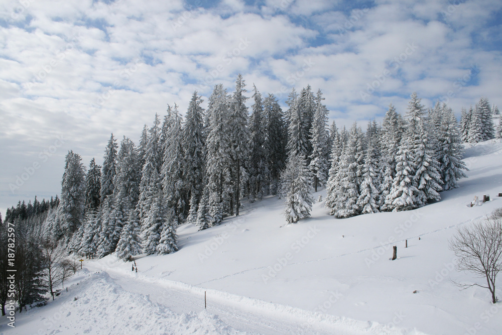 Obraz premium Winterlandschaft