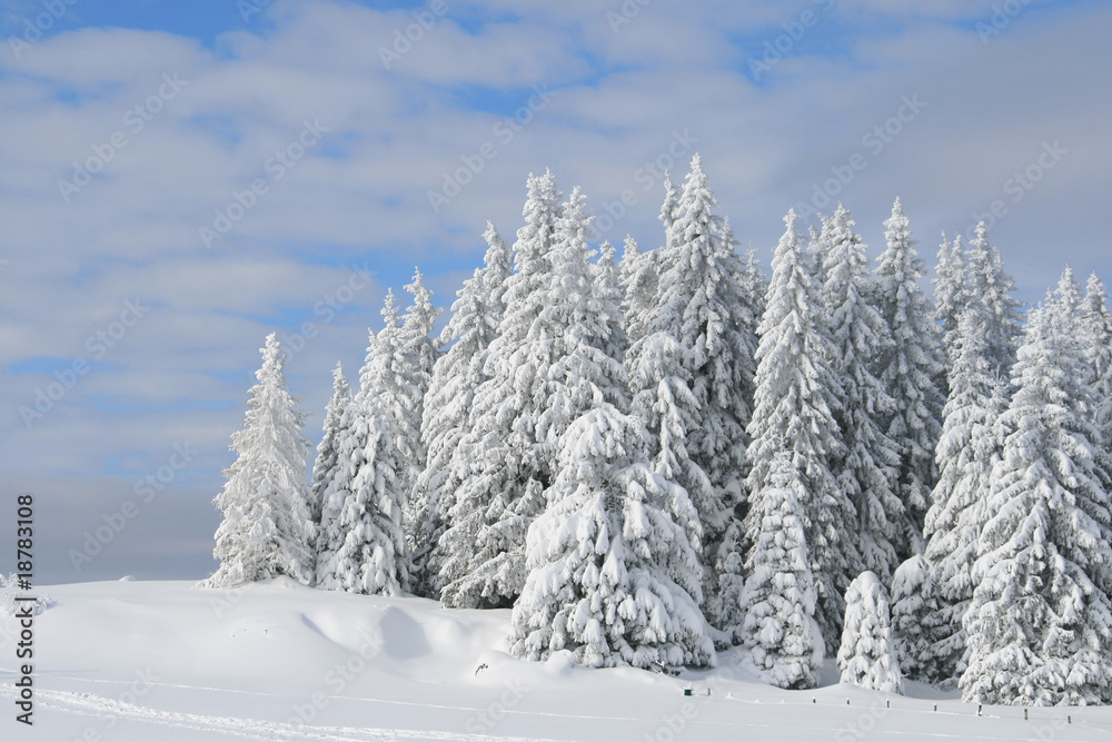 Naklejka premium Winterlandschaft