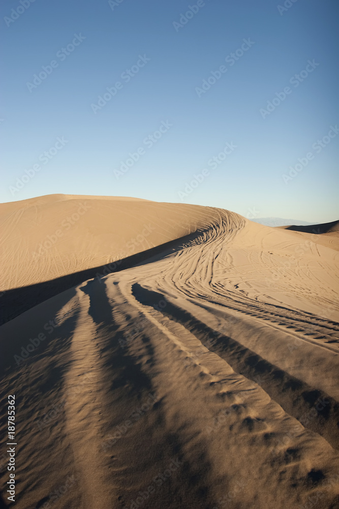 Fototapeta premium Nevada desert