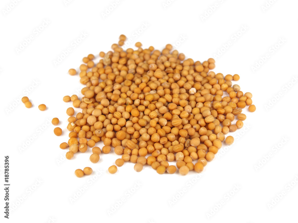 Mustard seeds isolated on white Mustard seeds isolated on white