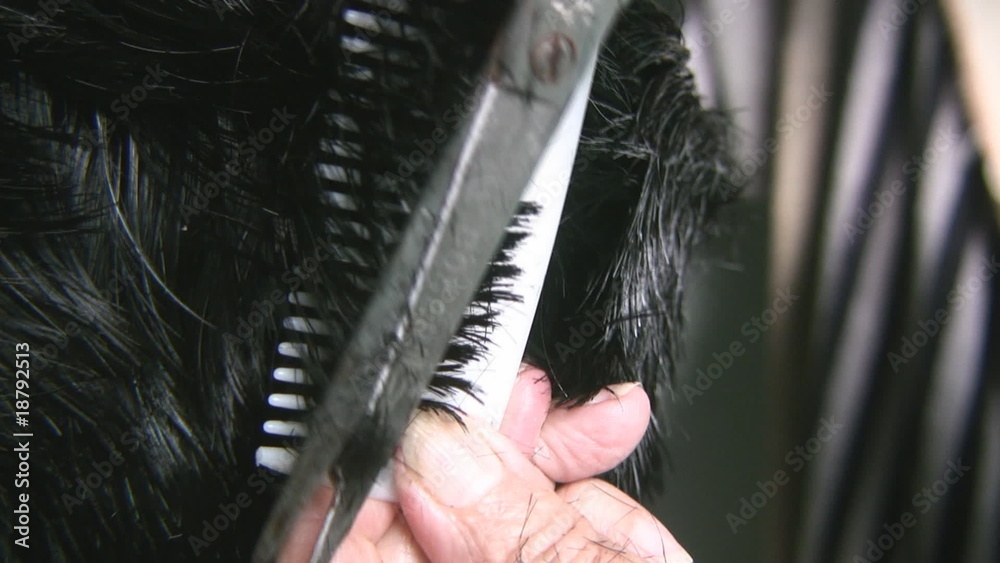 Cortando cabello