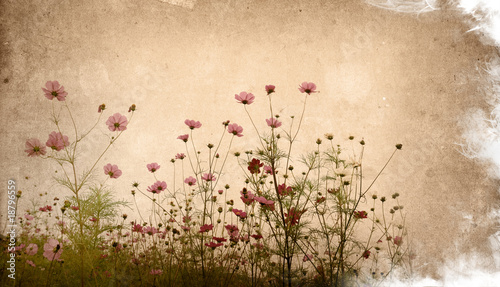old flower paper textures - with space for text or image