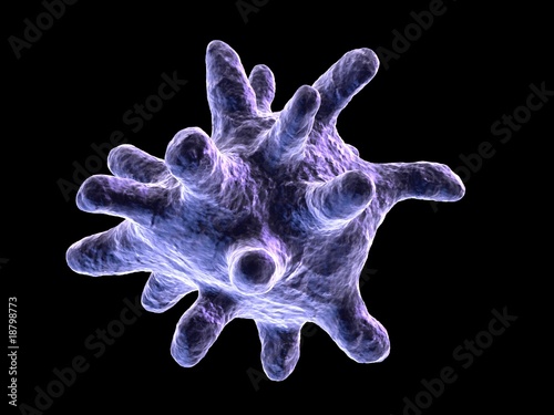 Fotografía Macrophage  - Nahaufnahme