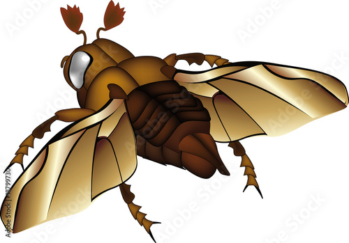 may bug