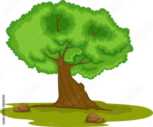 tree