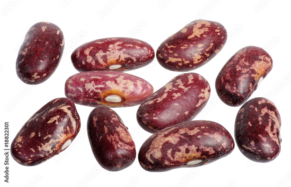 Spotted beans, isolated Spotted beans, isolated