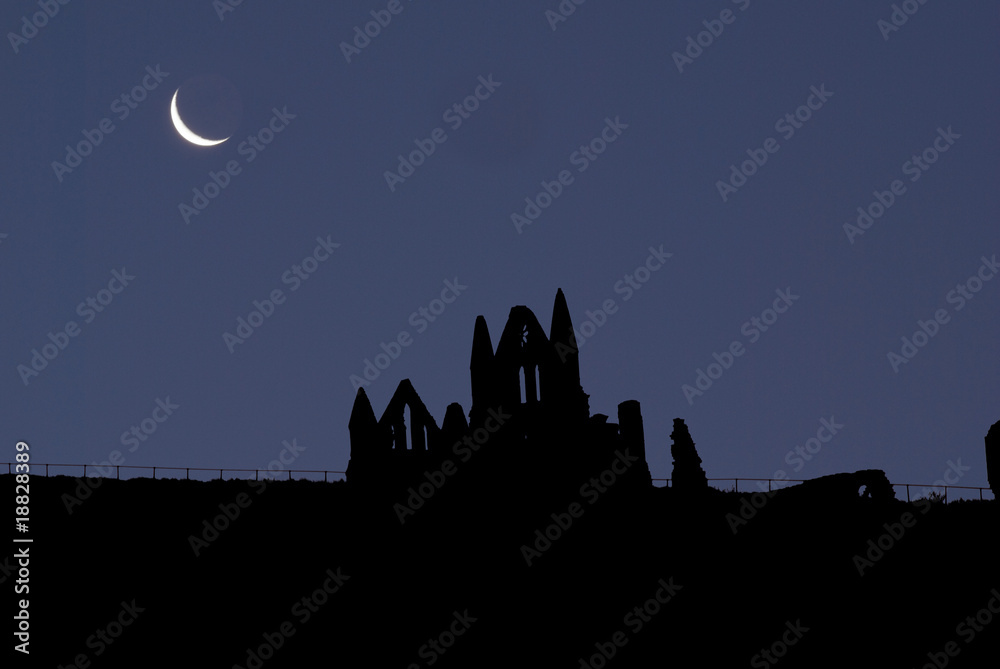 Moon over Whitby Abbey