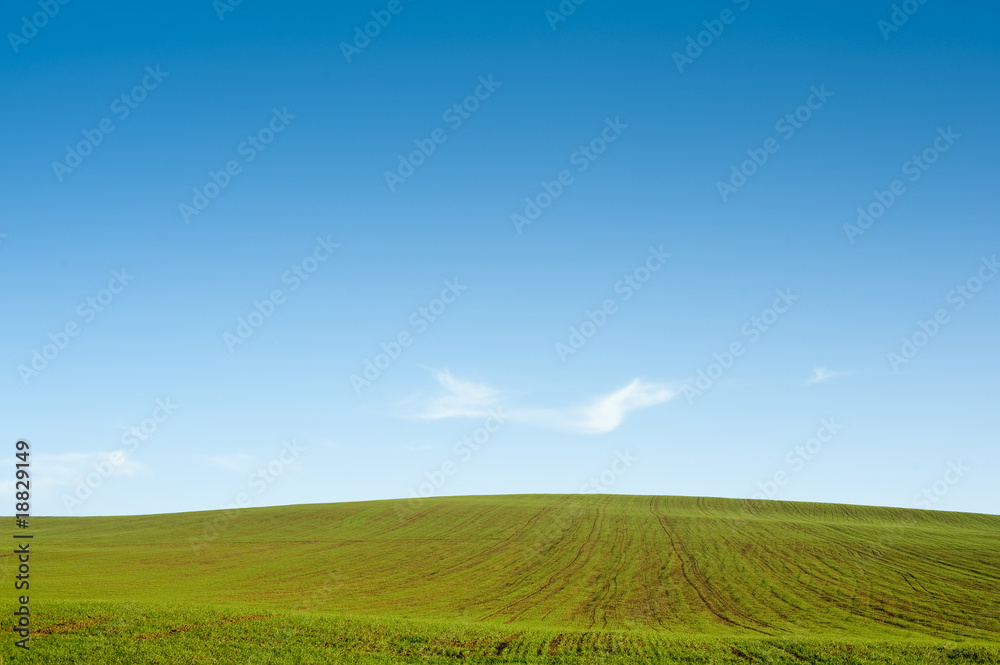 Gree field blue sky horizon