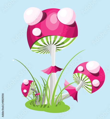 Mushrooms_of_ Muhamor