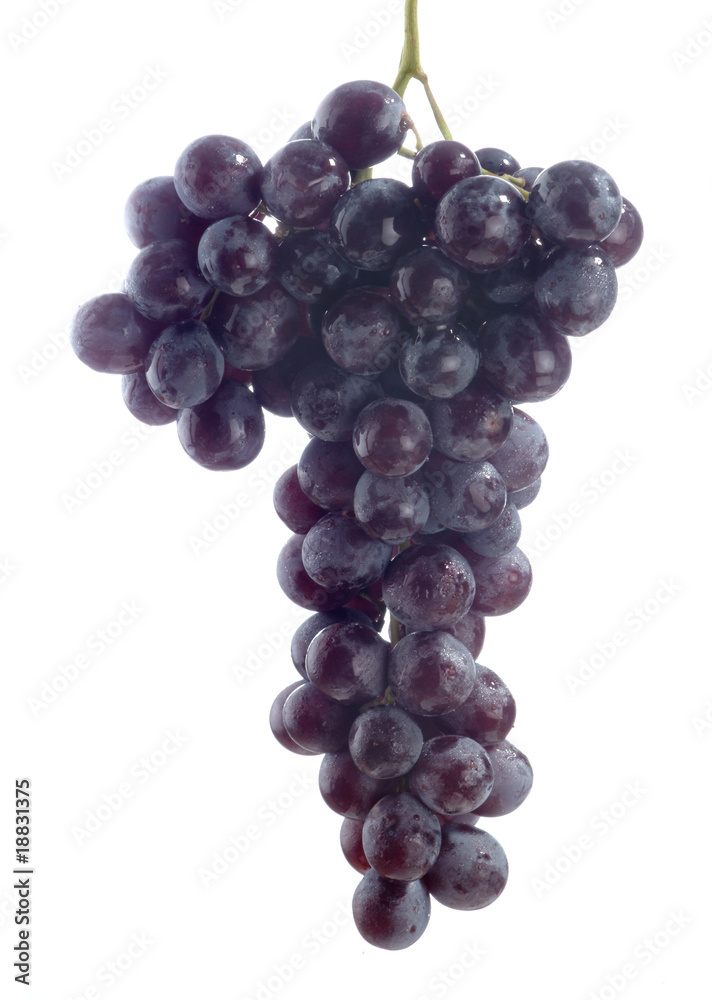 grapevine, black grape isolated over white background