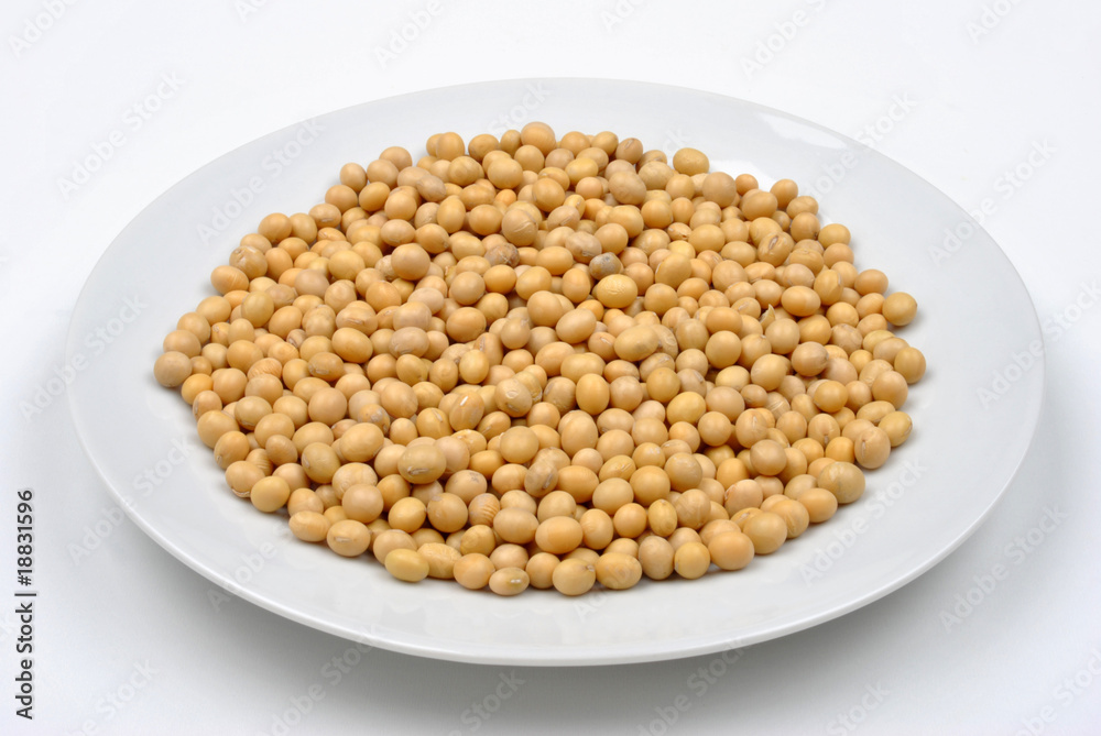organic soya beans are a good alternative instead of meat organic soya beans are a good alternative instead of meat