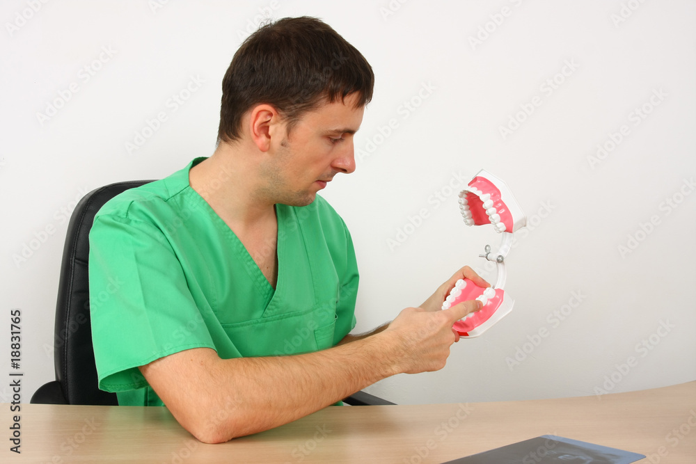 Dentist showing a big reproduction model of teeth