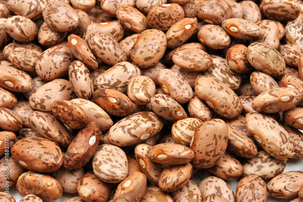organic pinto beans are good for stew or soup organic pinto beans are good for stew or soup