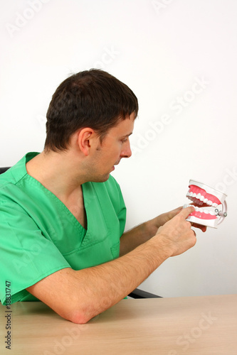 Dentist showing a big reproduction model of teeth