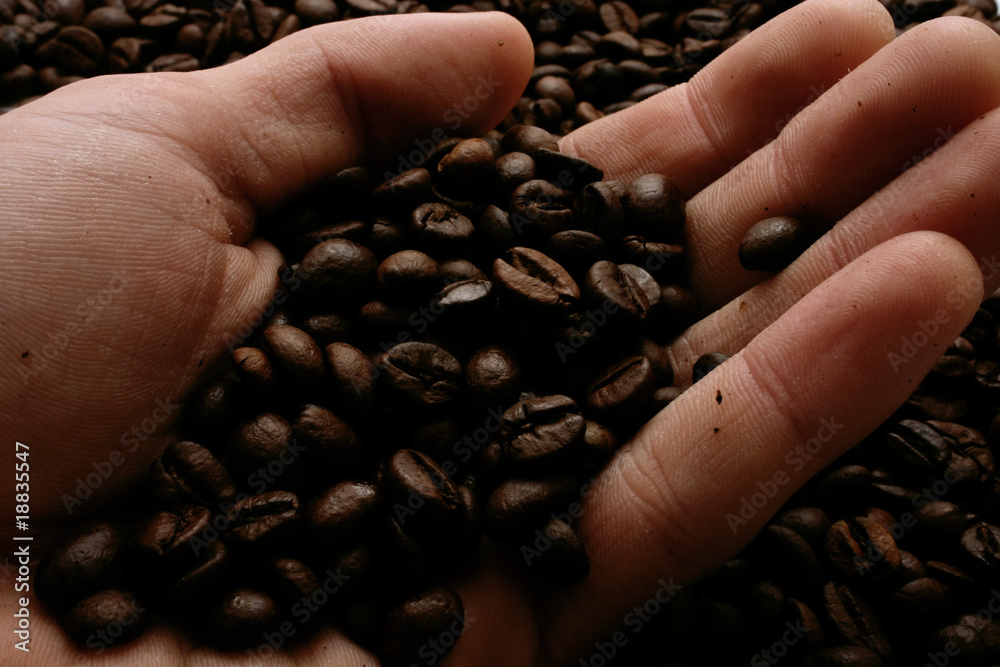 Fototapeta premium Chicchi di caffè