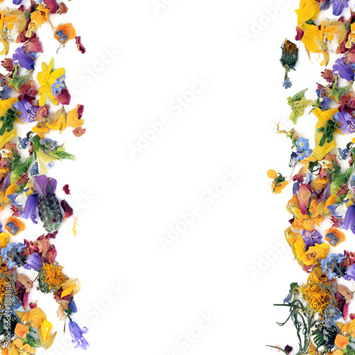 Abstract Flower  Border