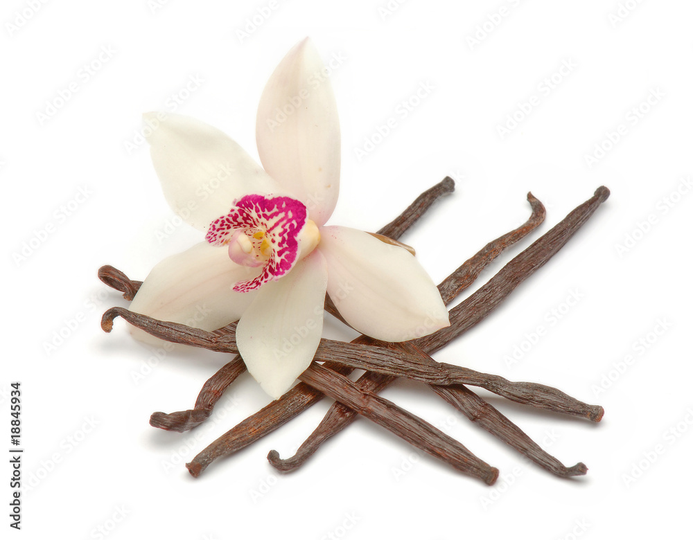 Fototapeta premium Orchidee