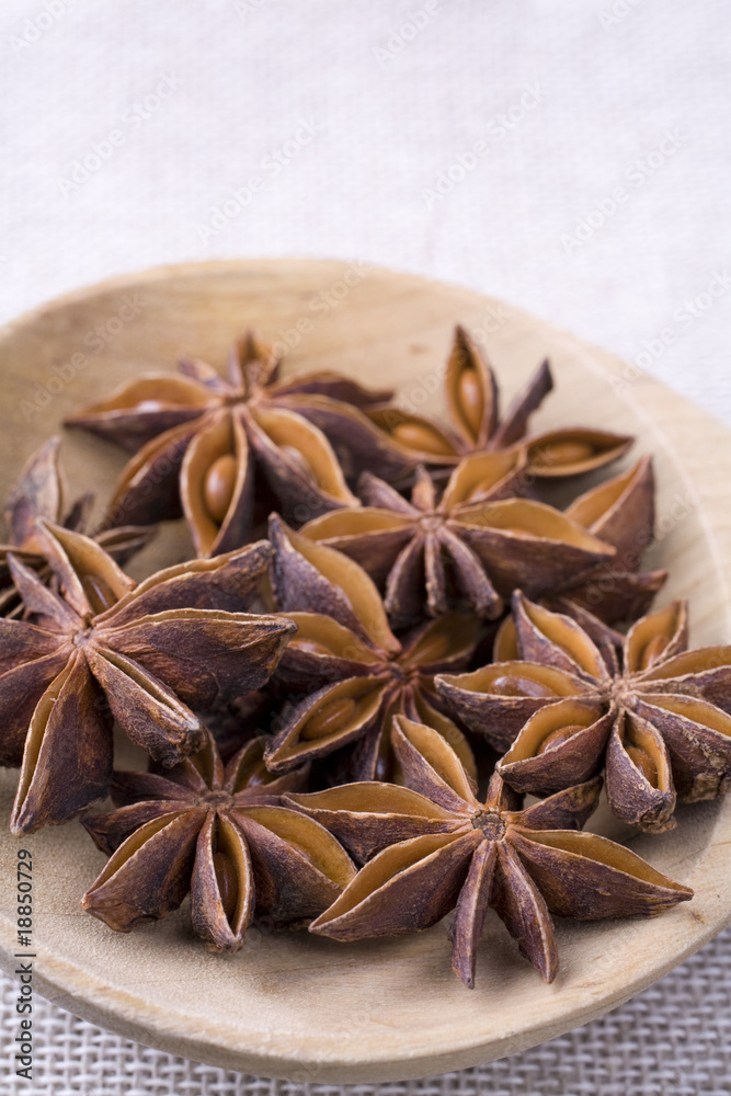 Star Anise Pods Star Anise Pods