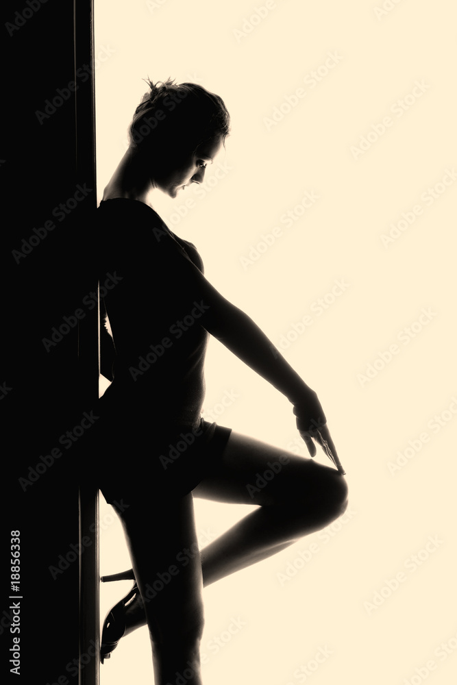 Fototapeta premium Outlines of a beautiful young woman