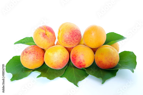 apricots with a leaf