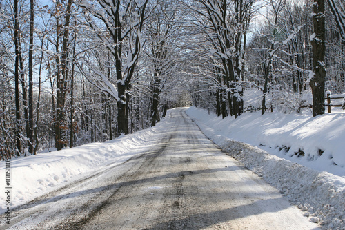 winter road © posh