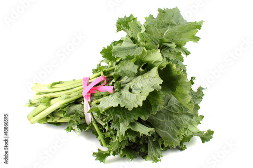 Green rapini