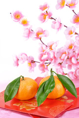 Chinese lunar new year decoration