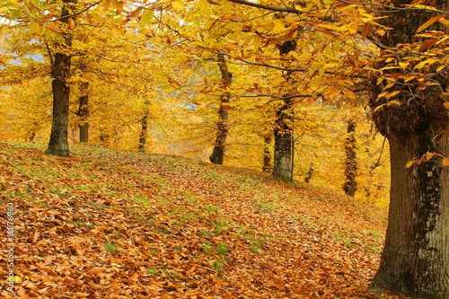 autunno