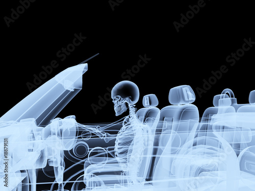Wallpaper Mural Xray Skeleton Driving A Car Torontodigital.ca