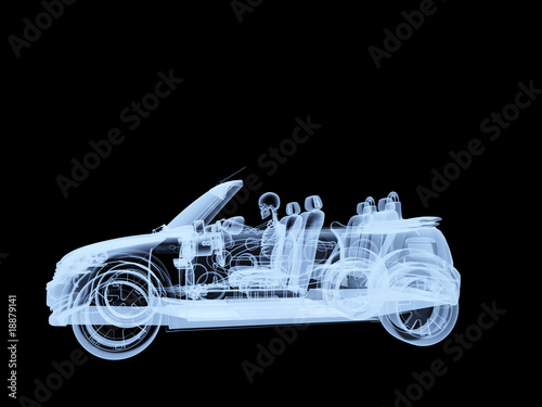 Wallpaper Mural Xray Skeleton Driving A Car Torontodigital.ca