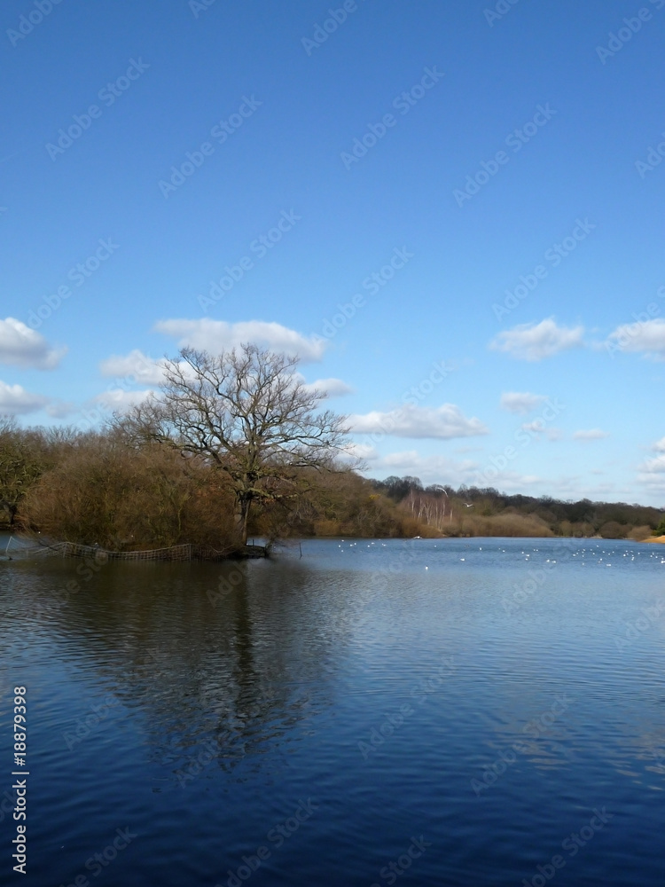 Hainault Forest Water