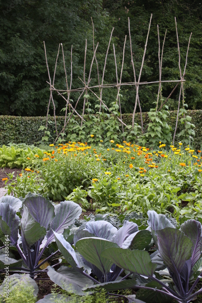 Gemüsegarten