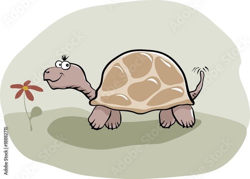 tortoise