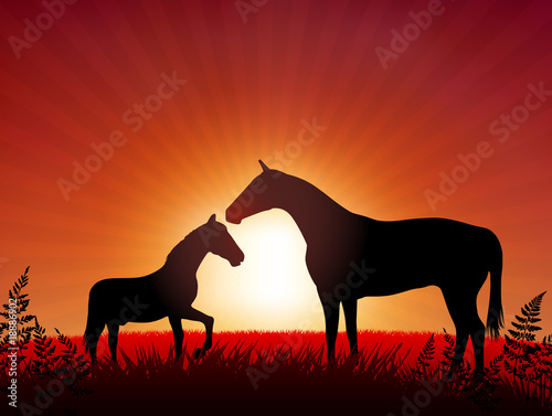 horse with kid on sunset background