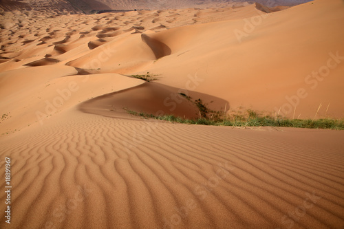 ripples in desert
