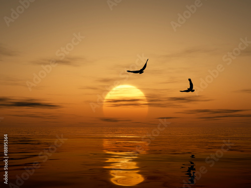Golden Sunset with Eagles