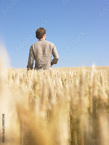 Man in Wheat Field © Morgan