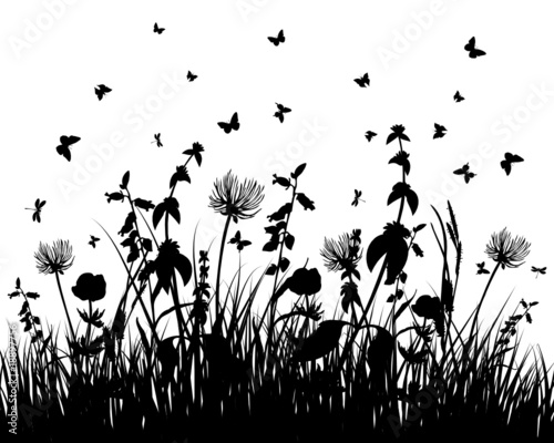 meadow