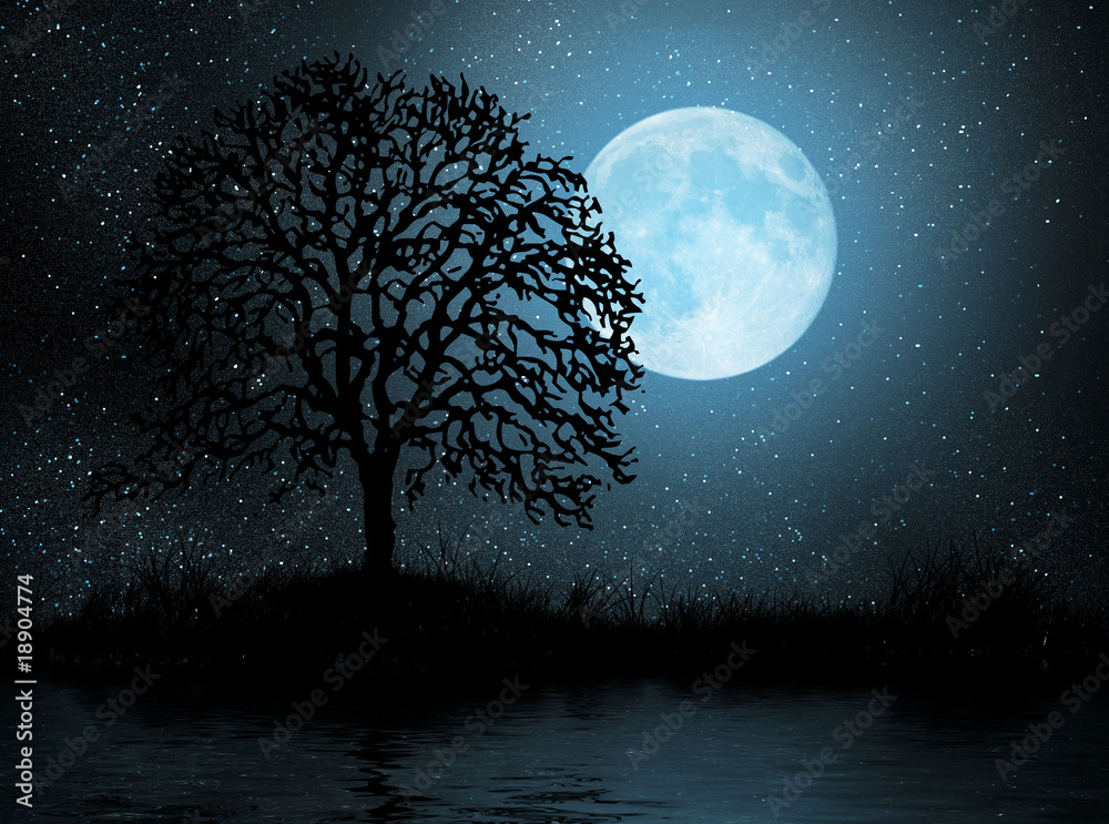 Moon And Tree