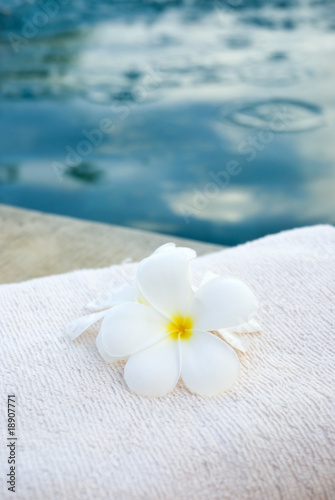 Towel at the poolside © Nicole Hofmann