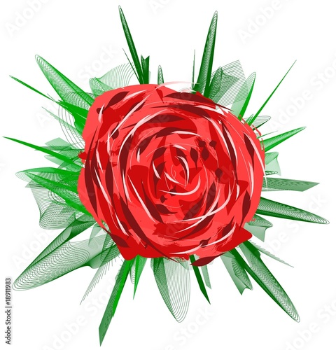 Red Rose