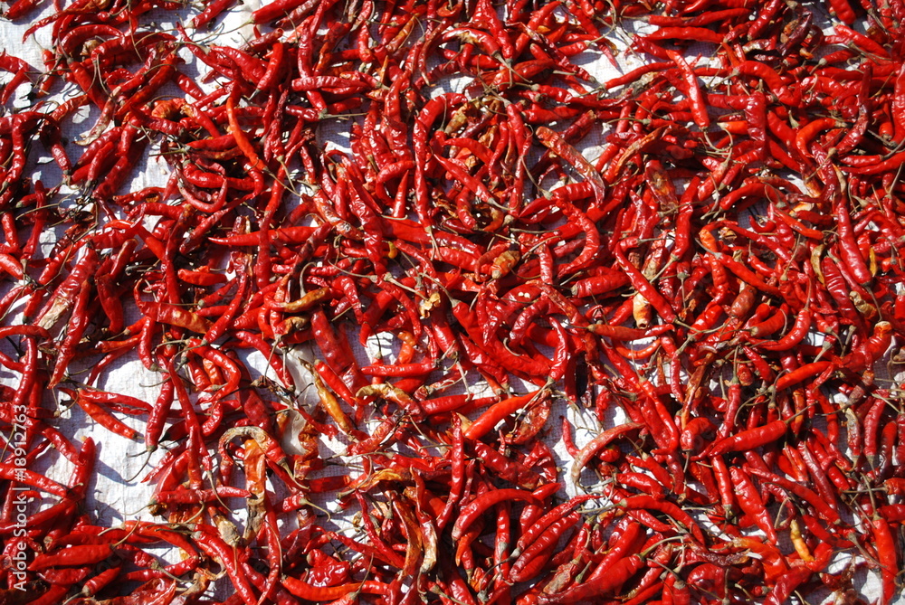 Fototapeta premium Piments au soleil