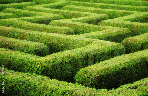 Labyrinth photo